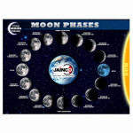 Phases of the Moon Chart